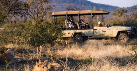 Sydafrika - Madikwe - Thakadu River Camp6