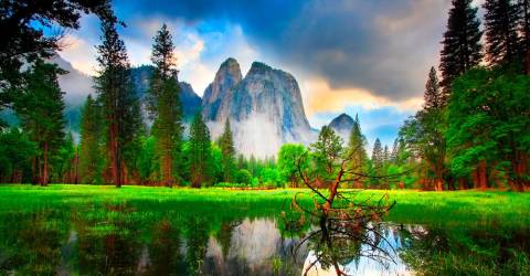 USA - Californien - Nationalpark - Yosemite - 7.jpg