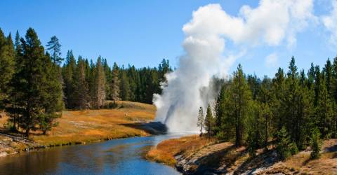 USA - Wyoming - Yellowstone - Geyser - 1.jpg