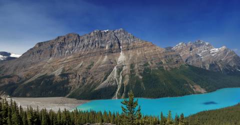 Udsigt over Peyto Lake, Banff National Park, Alberta, Vestlige Canada