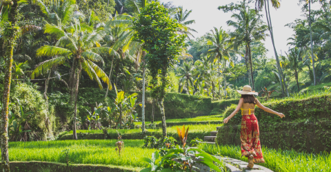 Bali & Lomboks højdepunkter - MyPlanet Rejser