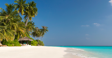 Resa Maldiverna The Sun Siyam Iru Fushi