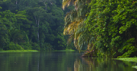 Rejse til Costa Rica - eventyr og strand