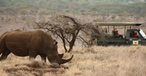 Eksklusiv safari i kenya og paradis på seychellerne