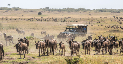 Kenya langt fra alfarvej