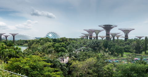 Höjdpunkter i Singapore & Malaysia