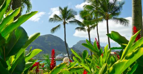 kauai-hawaii