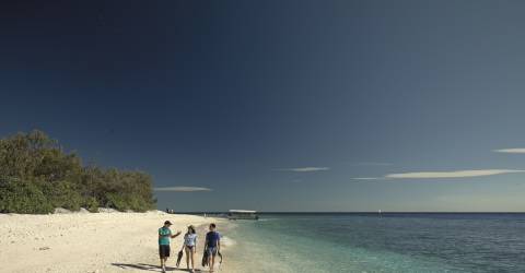 lady elliot island beach 2