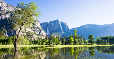 Stora naturresan med Yellowstone