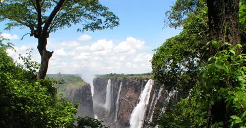 Forsande vattenmassor i Victoriafallen genom regnskog, Zimbabwe