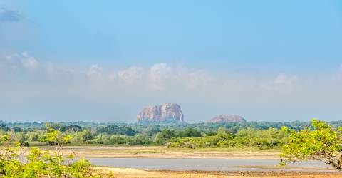 yala np sri lanka (4).jpeg