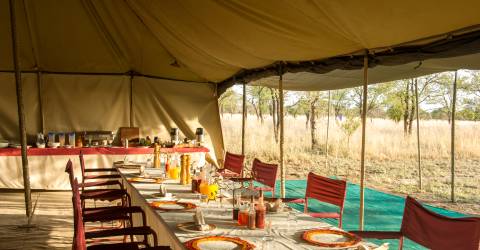 MyPlanets-Tanzania Tours-Central Serengeti Hotels-Serengeti Wilderness Camp-Dinning 05-PaulJoynsonHicks.jpg