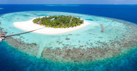 Rejse til Maldiverne Banyan Tree Vabbinfaru