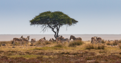 På roadtrip i det nordlige namibia