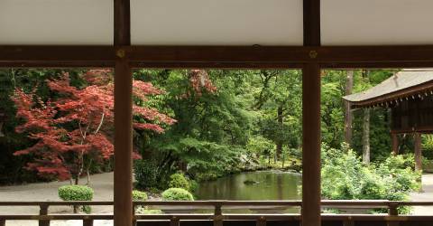 kyoto gardens (2).jpeg