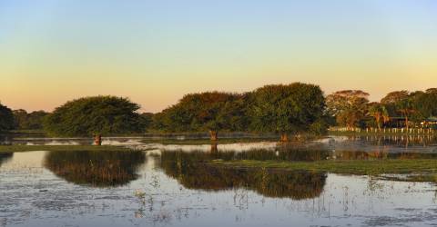 Brasilien: Imponerande vattenfall, Pantanal & Amazonas