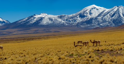 Patagonien og stjernekig i Chile