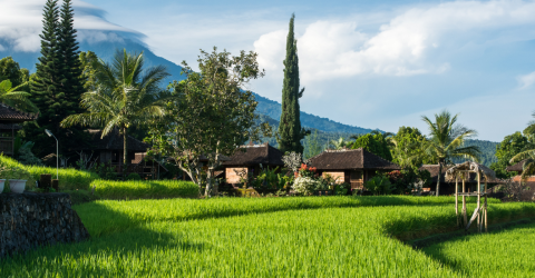 Resedagbok från Indonesien