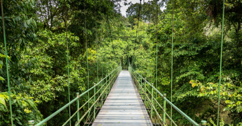 De storslåede naturvidundere på rejsen til Costa Rica