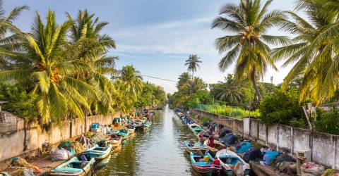 Sri Lanka: Te, kolonialt arv och gyllene stränder