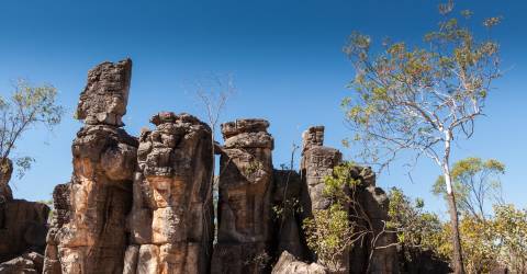 Det levende og forunderlige North Australia