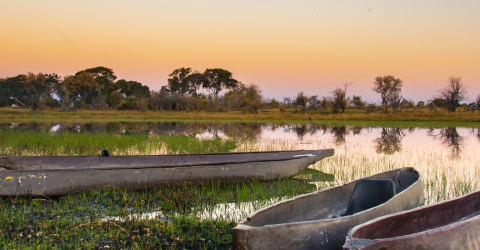 5 anledningar att besöka Botswana under den gröna säsongen