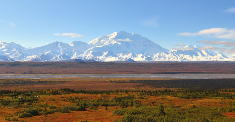 Roadtrip i Canada og Alaska