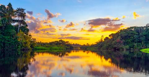 Amazonas, Fastlandet och Galápagos