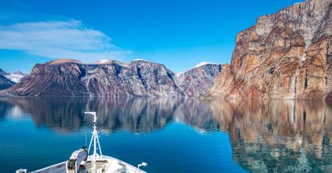 Svalbard: Arktis dyr og natur