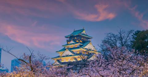 Saker att göra i Japan