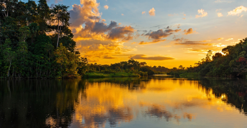 Amazonas, Fastlandet & Galápagos