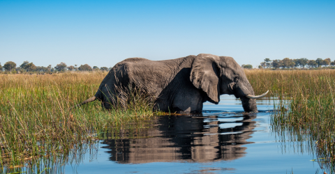 Botswana