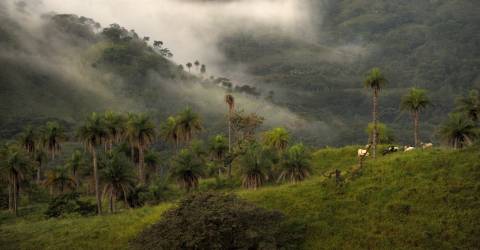 Costa Rica: Vilda djur & avkoppling