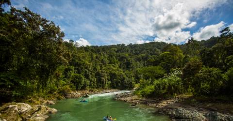 Costa Rica: Vilda djur & avkoppling