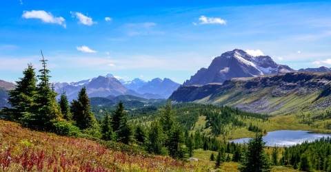 Banff National Park från Calgary