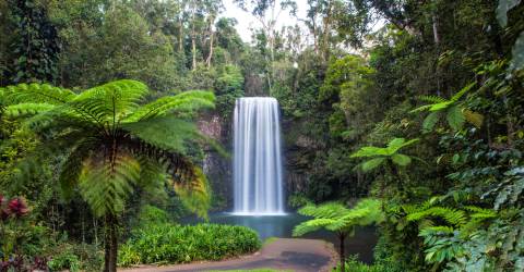 Östra Australien: roadtrip längs Stillahavskusten