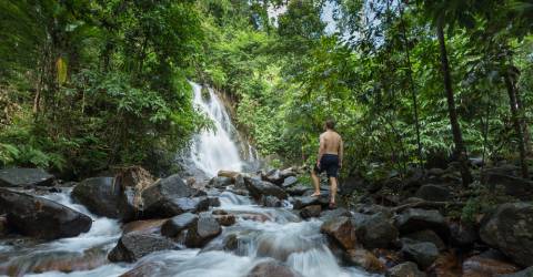 Thailand: Bangkok, Elephant Hills och stränder