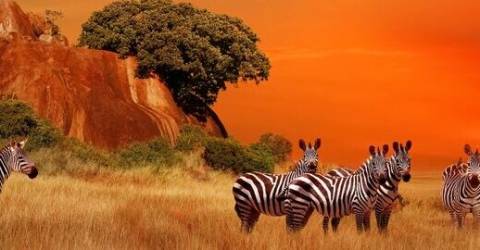 Insidertips till Kenya & Tanzania