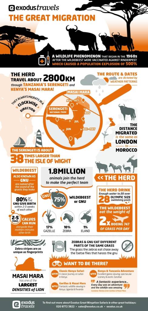 The great mimgration infographic