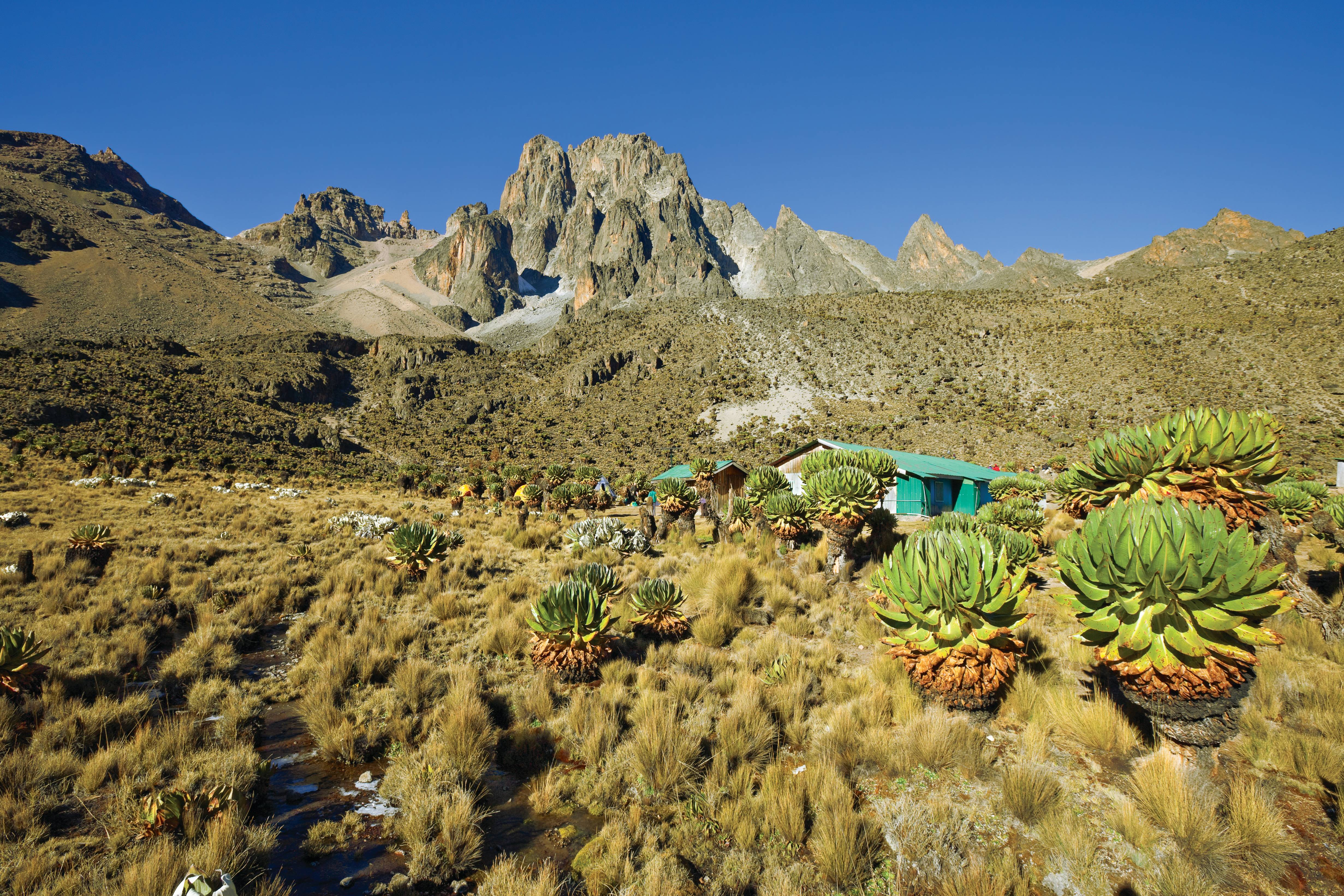 Mount Kenya