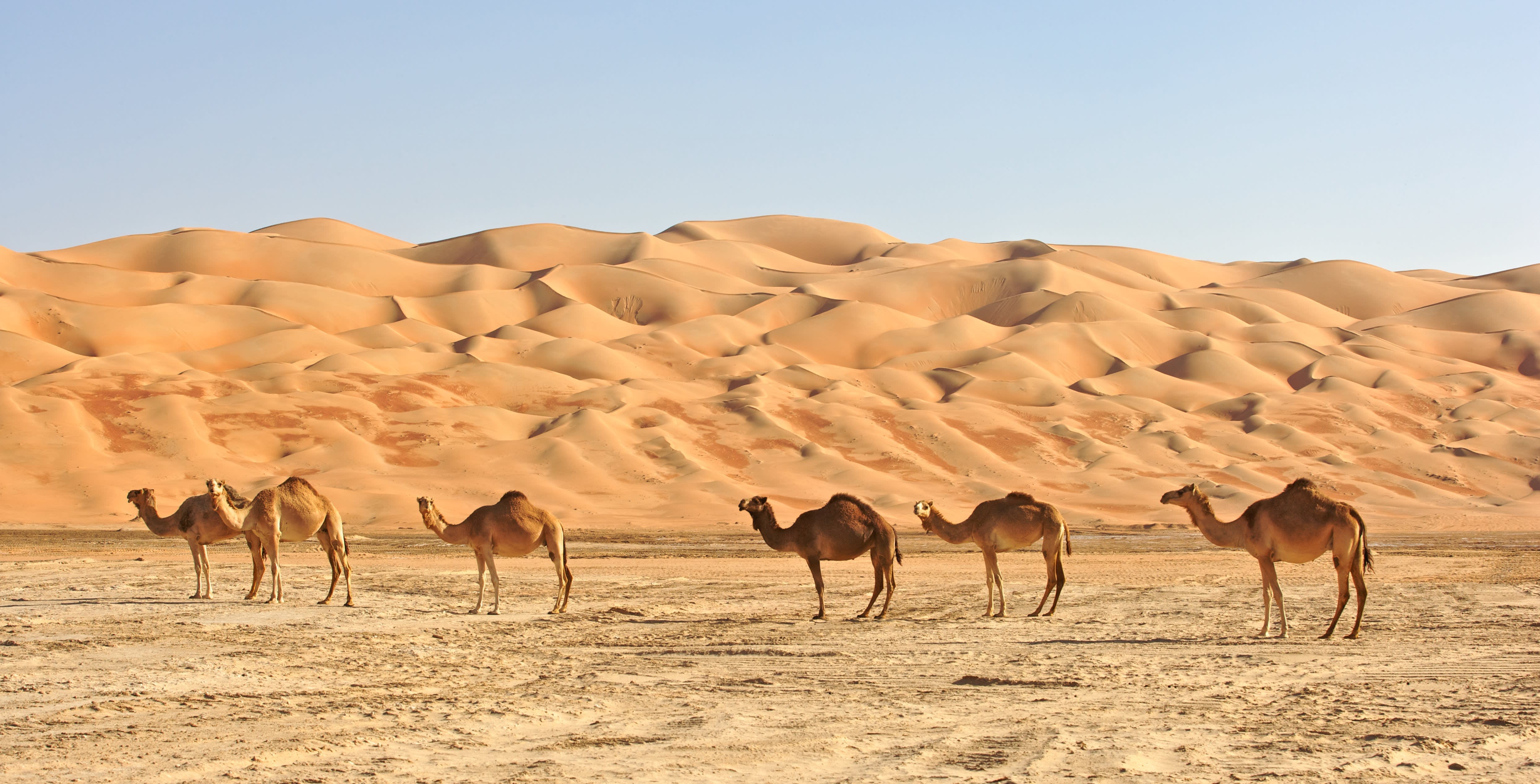 Oman: Unsere Top-Sehenswürdigkeiten