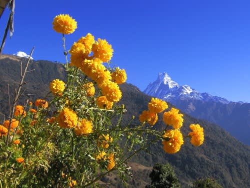 annapurna circuit