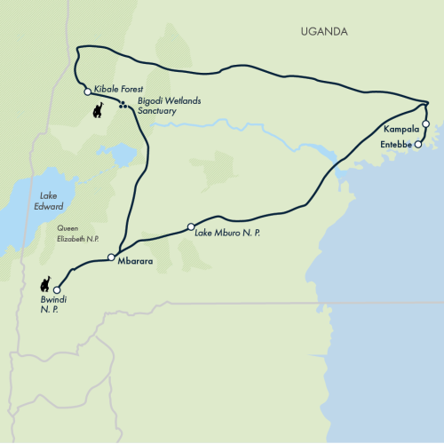 Chimps & Gorillas of Uganda