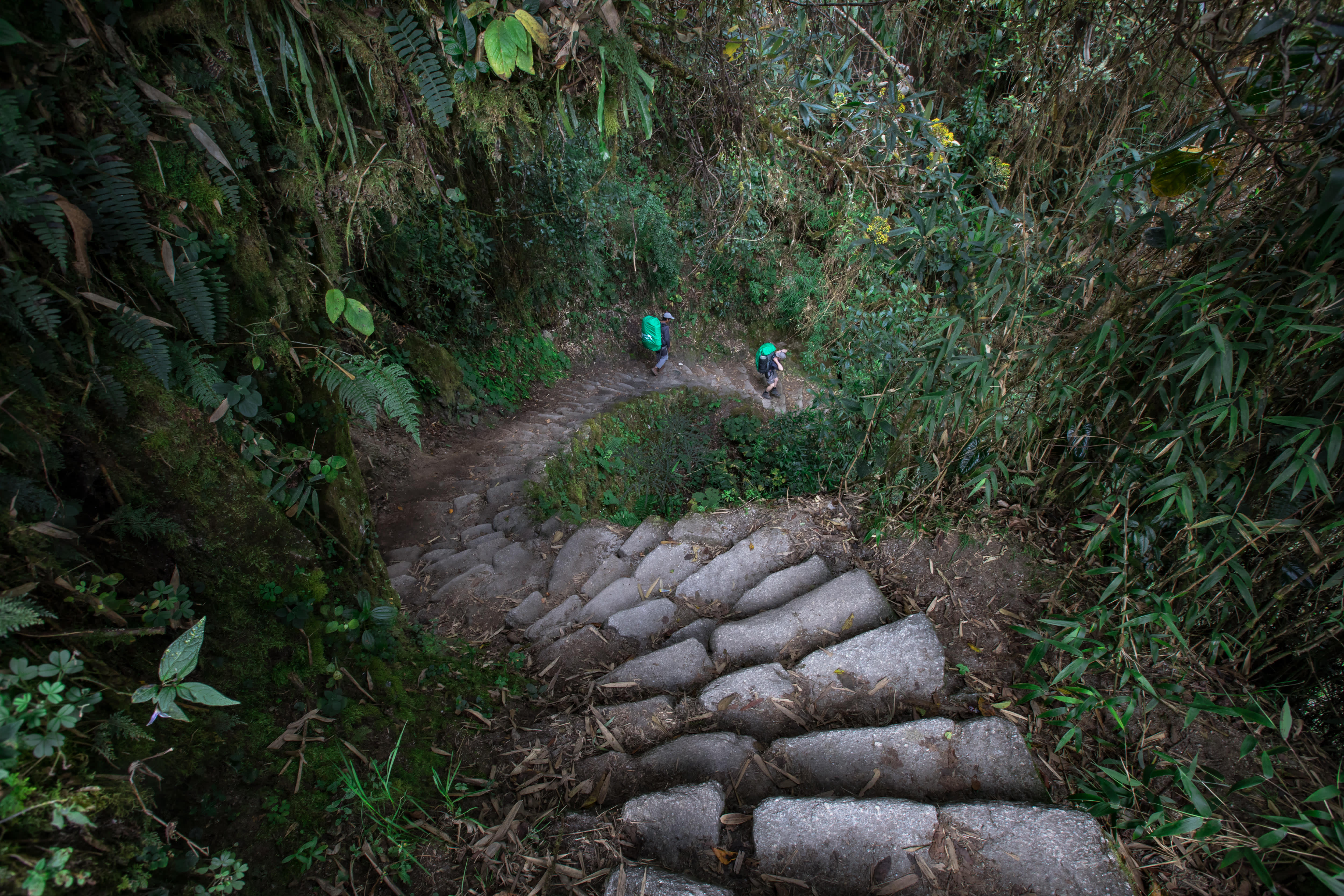 Exodus Porters on the Inca Trail