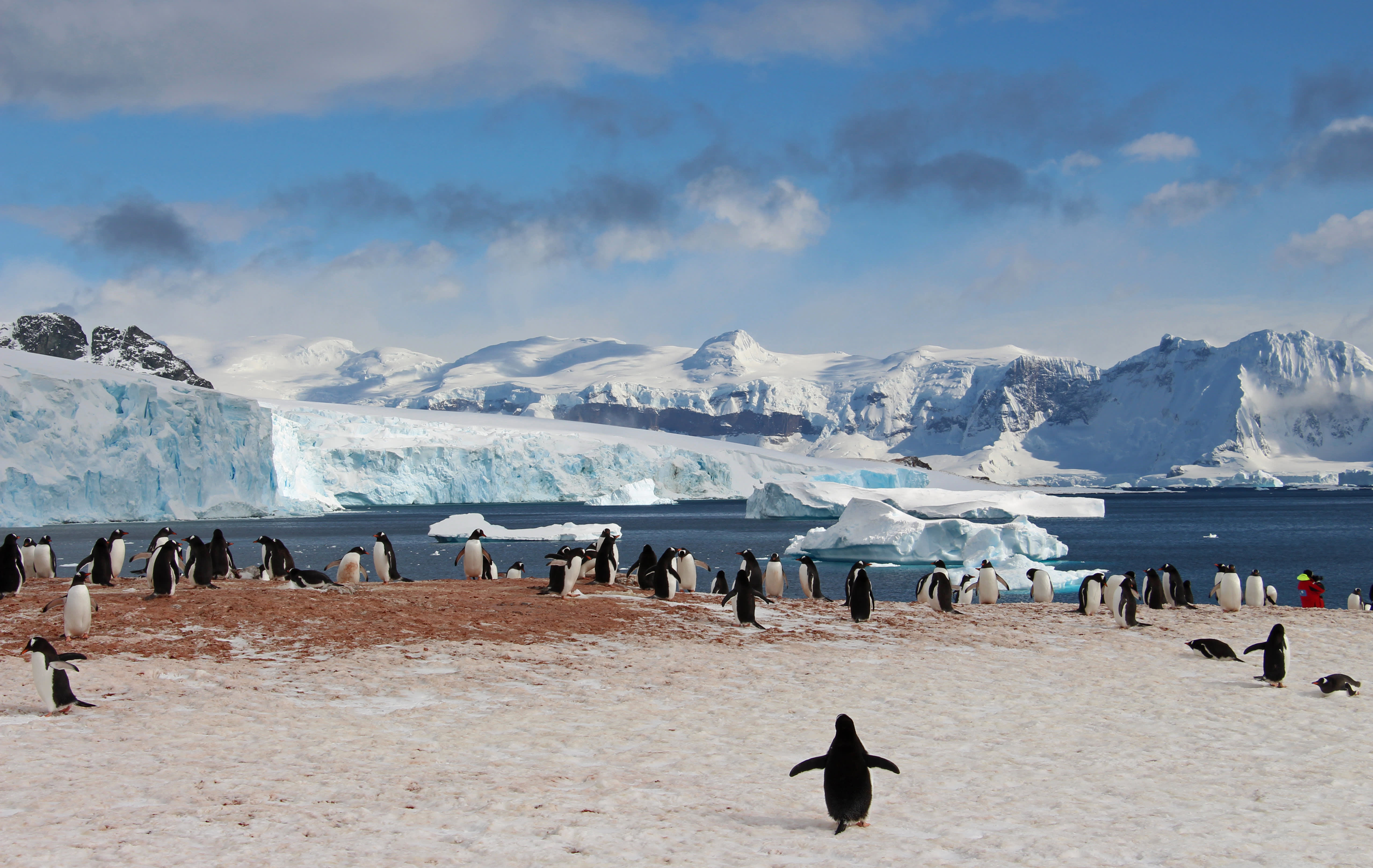 Trending Now: Sustainable Tourism