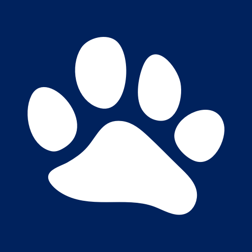 Buying a Catamaran with Leopard Brokerage