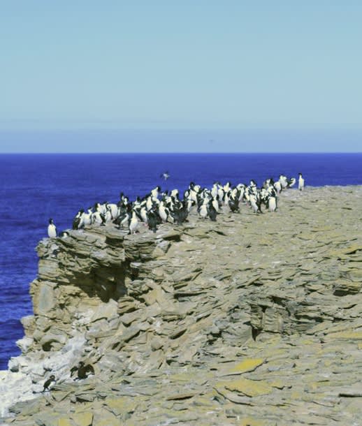 Photo credit; Wikipedia commons
