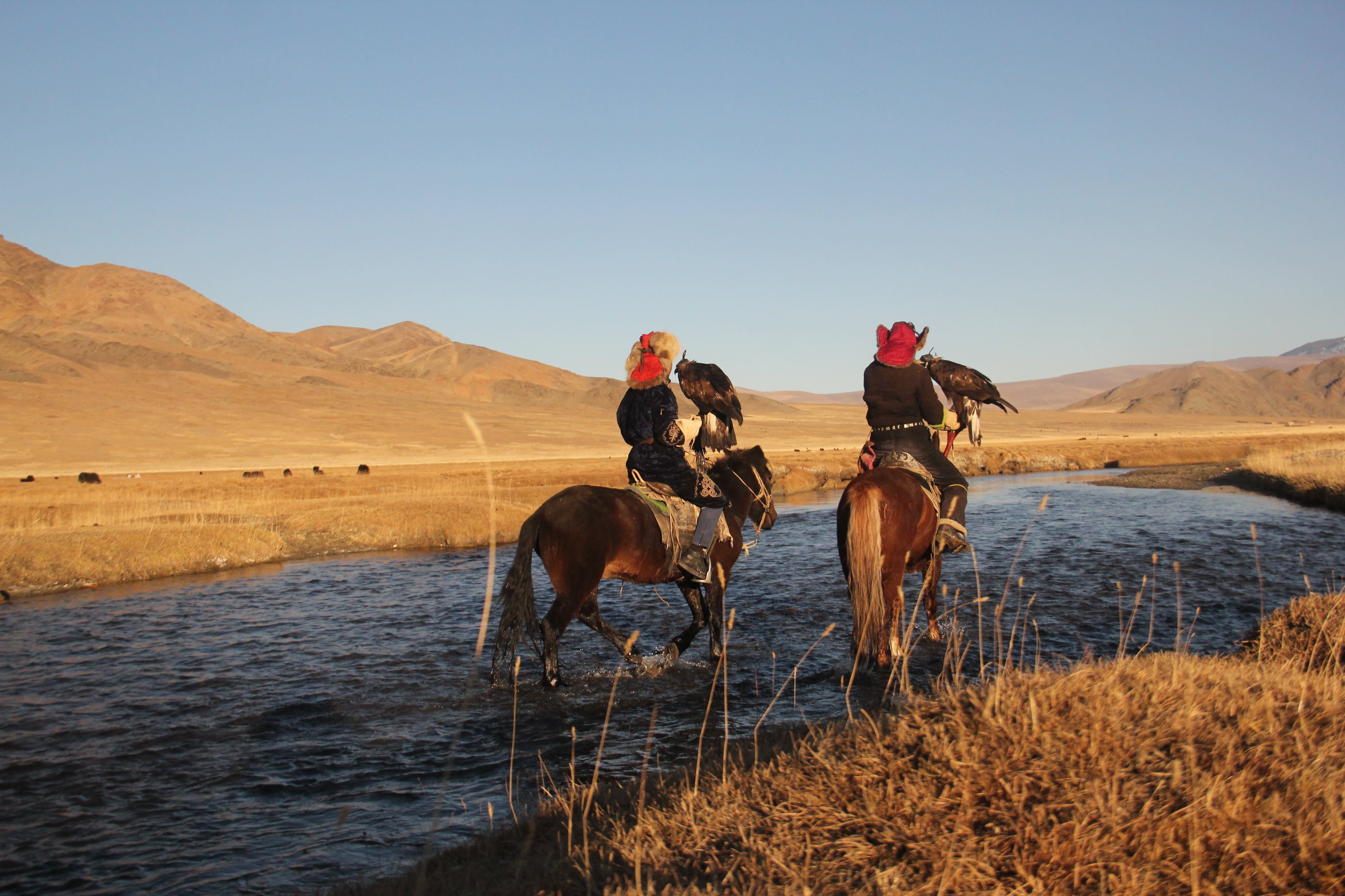 Golden Eagle Festival in Mongolia
