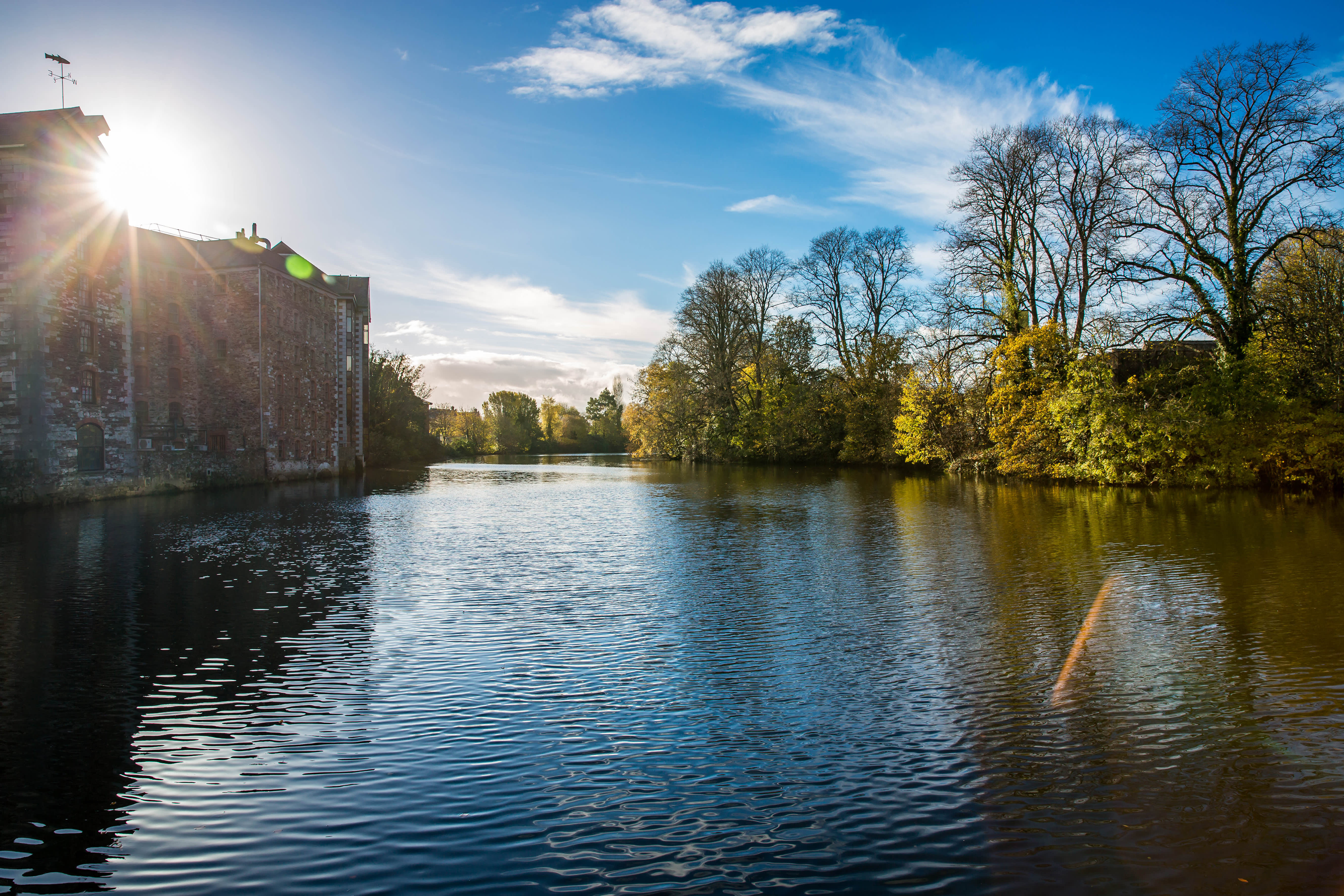 Golden sunlight filtering through trees along a quiet river in Ireland.