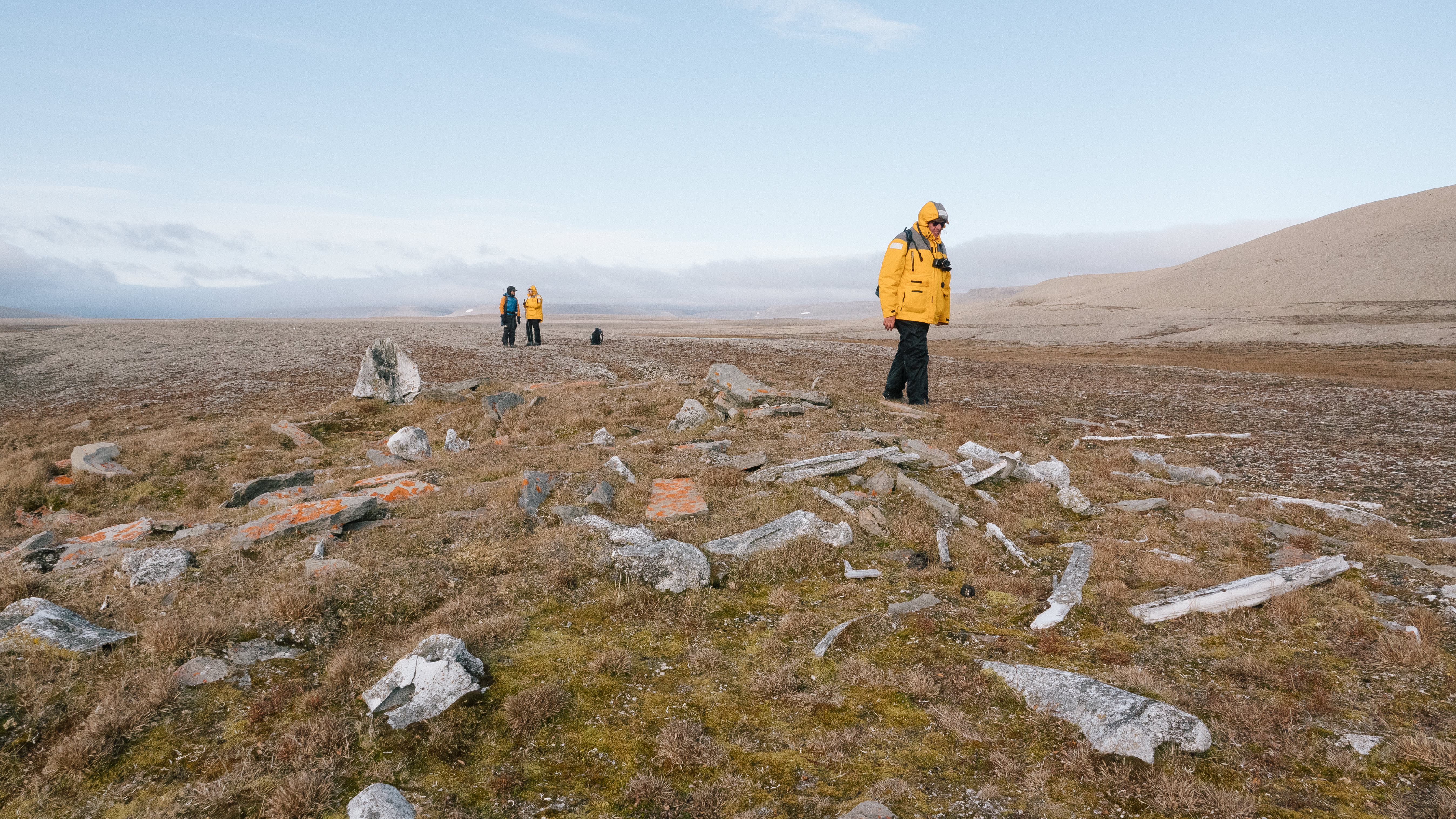 Above the World: Discovering the Untamed Beauty of the Canadian High Arctic 
